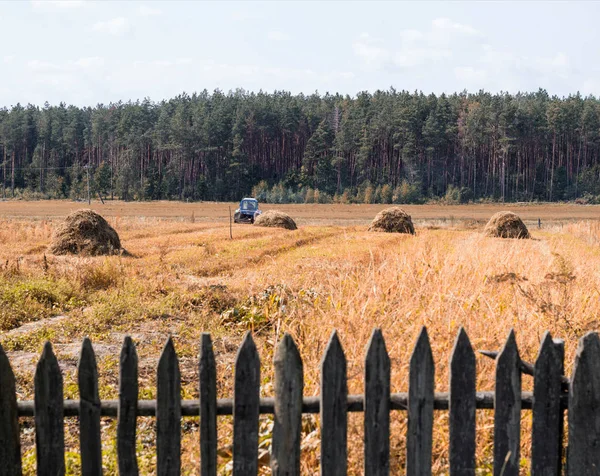 Een oude trekker plows een veld in een dorp, hooibergen en een oude hek op het veld staan, er is een bos aan de horizon, landbouw — Stockfoto