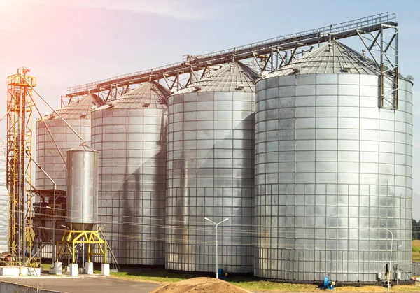 Complexe de stockage de colza oléagineux et autres céréales, agro-industrie, agriculture — Photo