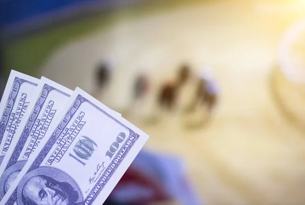 Pénzt a dollárt a háttérben egy TV-vel, amely a Térkép egy kutya verseny, Sportfogadás, dollár — Stock Fotó