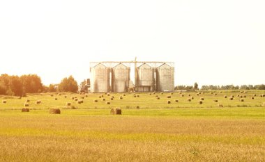 Modern storage complex for oilseed rapeseed and other grains, grains, against a blue sky, industry, agri-business clipart