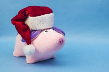 New Year pink pig in a red Santa Claus hat on a blue background, close-up, soft toy, New Year of the Pig 2019, Christmas, copy space clipart