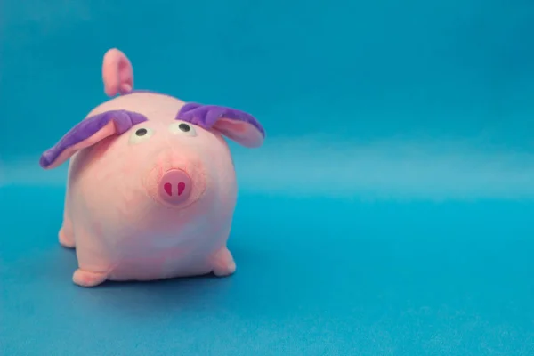 Soft toy pink pig with big ears on a blue background, close-up, the new year of the pig, swine, copy space, camera