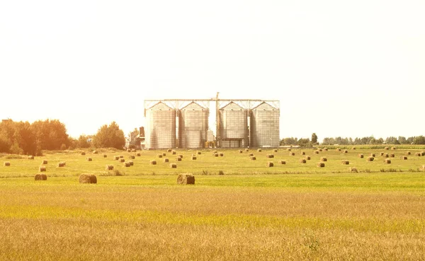 Complexe de stockage moderne pour colza oléagineux et autres céréales, grains, contre un ciel bleu, industrie, agro-industrie — Photo