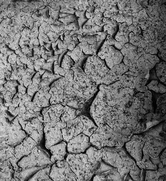 Black and white texture of cracked earth, texture of cracks in the ground on the background, background, pattern