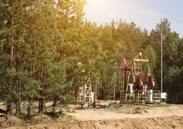 Naftowy do produkcji oleju i benzyny i gazu na tle lasu, produkcji benzyny, pumpjack, wydobywanie ropy naftowej, paliw — Zdjęcie stockowe