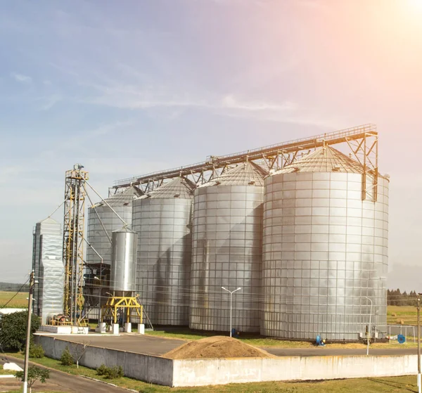 Complejo de almacenamiento moderno para semillas oleaginosas de colza y otros granos, granos, contra un cielo azul, silo —  Fotos de Stock