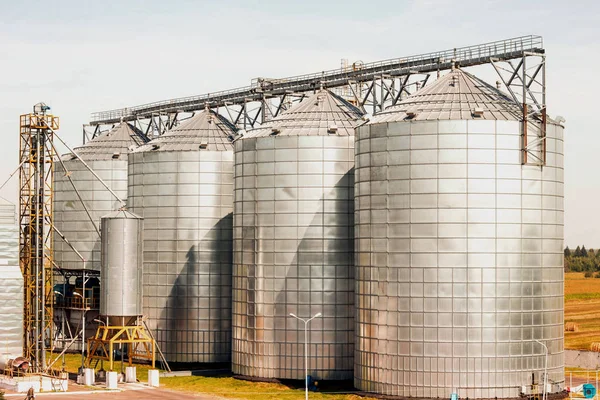 Moderno complejo agrícola para almacenar granos, cereales, maíz y semillas oleaginosas, agricultura, silo —  Fotos de Stock