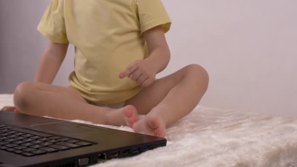Uma criança pequena pressiona um dedo no botão no teclado do laptop, close-up, bebê e computador, educação, navegação — Vídeo de Stock