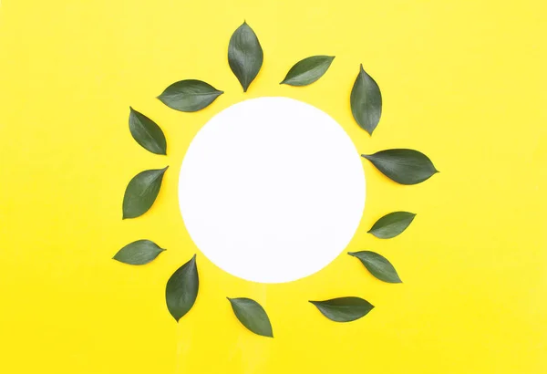 Blank blank paper in the form of a circle on a yellow background with flower petals, layout for the inscription, copy space