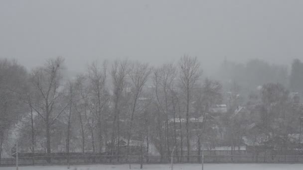 Vinter stugor på bakgrunden av tung snö, mulet väder, blizzard — Stockvideo