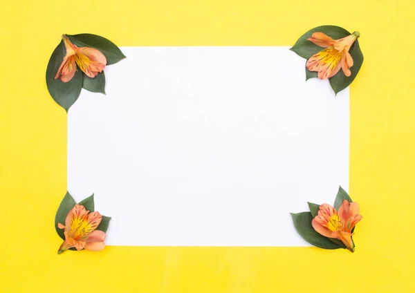 Blank white paper on a yellow background with petals and orange hibiscus flowers, greeting card mockup, holiday