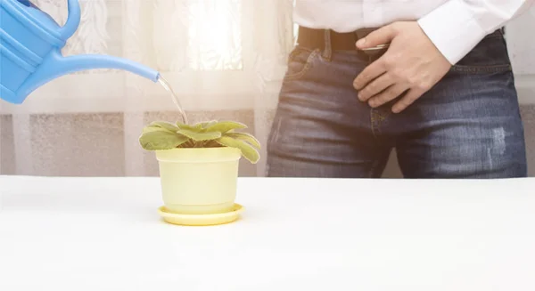 A man watering a flower from a watering can concept of urinary incontinence, prostatitis, pyelonephritis and urological diseases, copy space — Stock Photo, Image