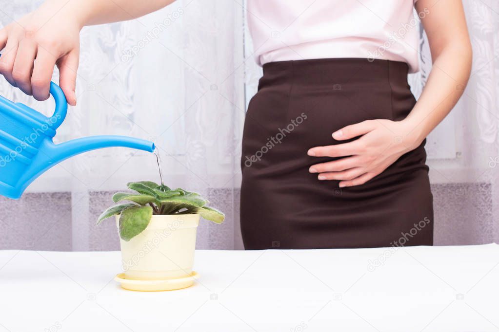 A girl is watering a flower in the office from a watering can and holding on to the bladder, the concept of urinary incontinence in women, urology and gynecology, kidney disease, copy space