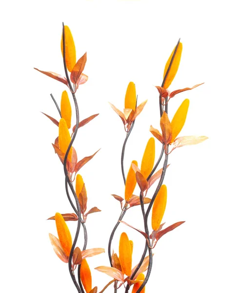 Orange buatan bunga pada latar belakang putih, mengisolasi — Stok Foto