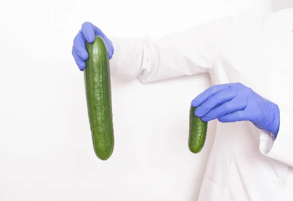 Ein Arzt in medizinischen Handschuhen hält zwei unterschiedlich große Gurken in der Hand. Konzept der Penisvergrößerung bei Männern, Viagra — Stockfoto