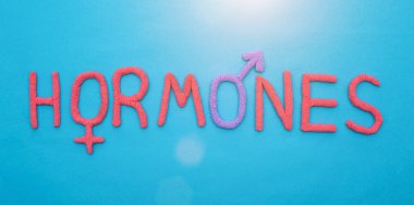Tüm insan hormonlarının mavi bir arka plan kavramı üzerinde kırmızı plastiin kelime hormonları, yazıt