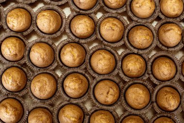 Formlarda lezzetli ağız sulandıran muffins Arka plan. Gıda endüstrisi, tatlı, fotokopi alanı, nefis