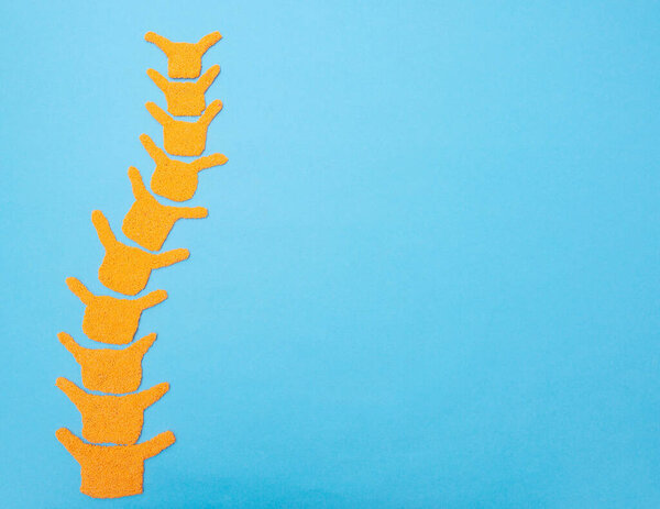 Spine on a blue background. The concept of spinal diseases, curvature of the spine and scoliosis, copy space