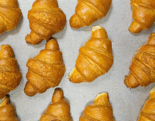 Tasty beautiful croissants with a golden crust on the table, background. Confectionery, traditionally, puff pastry — Stock Photo, Image