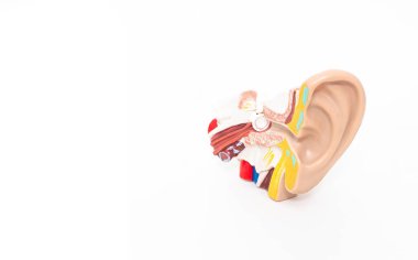 Beyaz arka plandaki bir adamla alay et. Dış ve orta kulak hastalıkları kavramı, otitis medyası. Boşluğu kopyala
