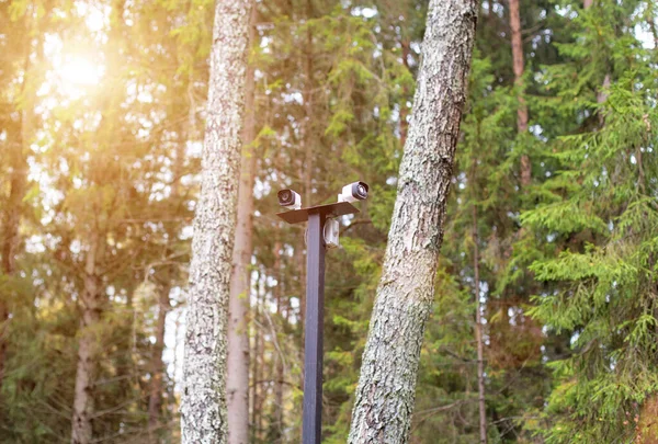 two CCTV cameras in the forest against the background of trees, copy space for text, technology