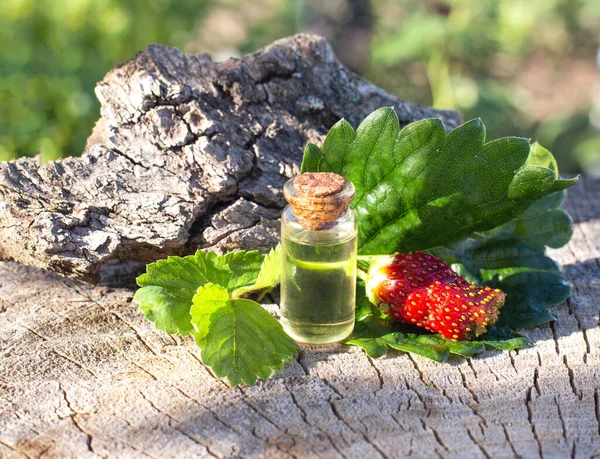 Botella Con Aceite Esencial Fresa Sobre Fondo Madera Aceite Natural —  Fotos de Stock