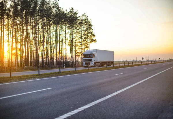 Camión blanco con semirremolque isotherm transporta frutas y verduras congeladas en la carretera con el telón de fondo de una puesta de sol y un bosque soleados. concepto de transporte de mercancías perecederas, espacio de copia para —  Fotos de Stock