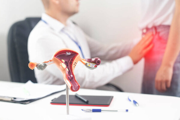 Gynecologist doctor conducts a medical examination of a girl who has pain in the lower abdomen. Female reproductive system diseases and treatment concept, bladder inflammation, background