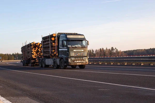 BOBRUISK, BELARUS 26.06.2019: Drewniana ciężarówka przewozi kłody z lasu na autostradzie przeciwko błękitnemu niebu — Zdjęcie stockowe