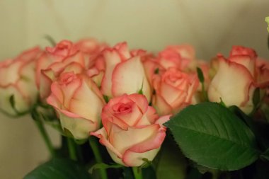 Tatil gül demetleri