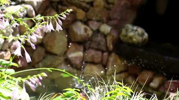 Das Wasser Aus Dem Brunnen Tropft Auf Die Steine — Stockvideo