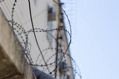 Çitlerdeki dikenli teller