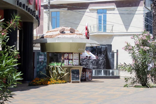 Las Calles Sochi Adler Verano 2018 —  Fotos de Stock