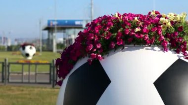 Bir futbol topu şeklinde sokak vazoya Petunya