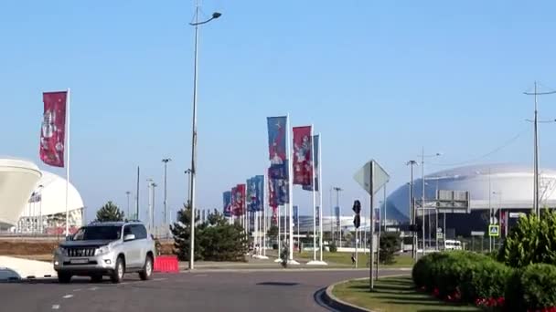 Bandeiras Perto Estádio Fisht Sochi — Vídeo de Stock
