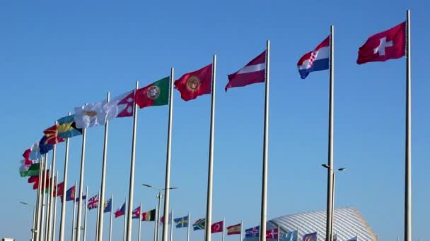 Bandeiras Perto Estádio Fisht Sochi — Vídeo de Stock