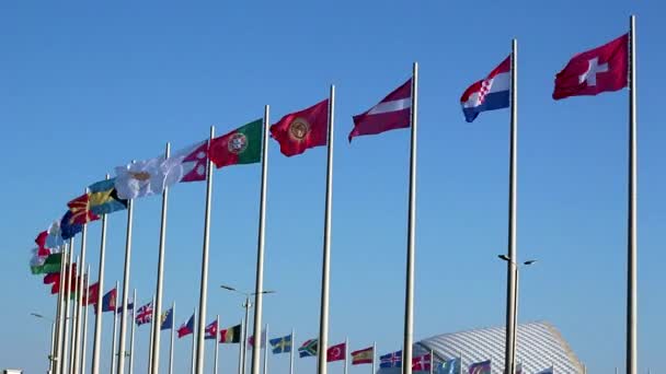 Flags Stadium Fisht Sochi — Stock Video