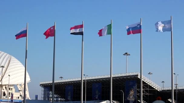 Flagg Nær Stadion Fisht Sochi – stockvideo