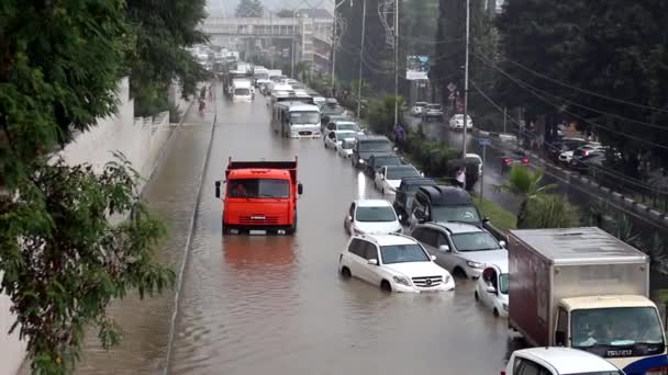 Översvämningar Sochi Adler Distriktet 2018 — Stockvideo
