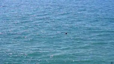 Deniz parlayan güneşte