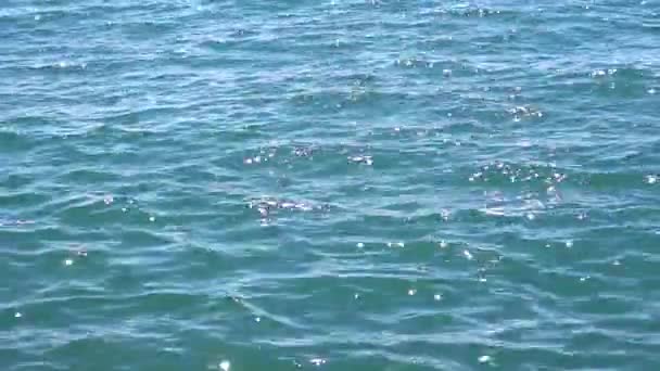 La mer brille au soleil 