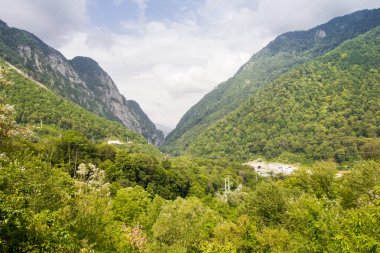 yeşil dağların güzel görünümü