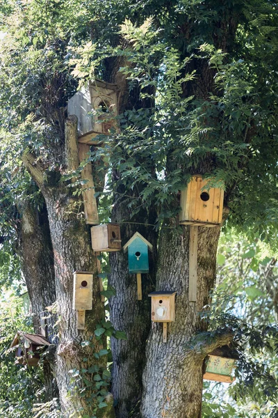 Sok Különböző Birdhouses Fán — Stock Fotó