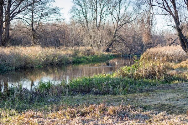 Petite Rivière Tranquille Fin Automne — Photo