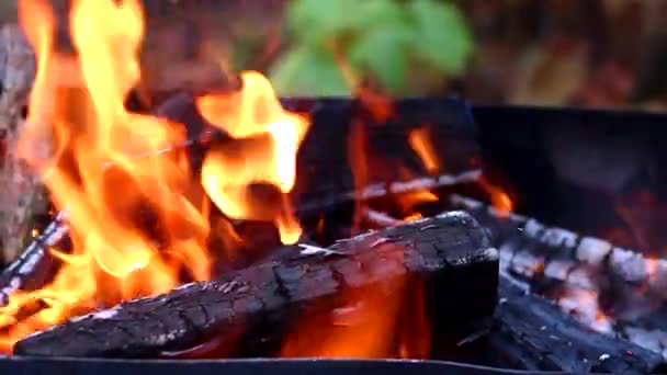 Video Burning Firewood Barbecue — Stock Video