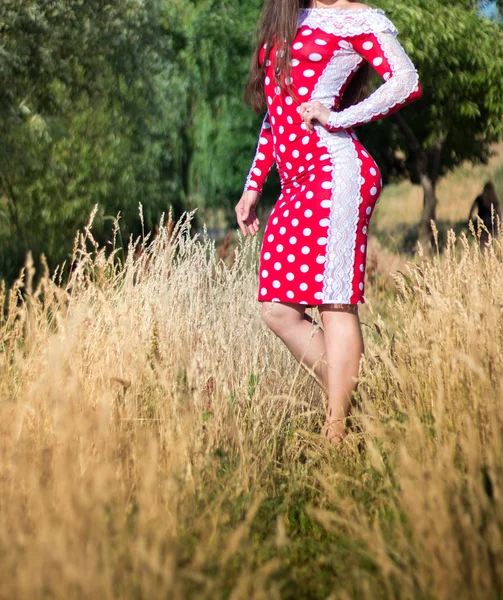 Κορίτσι Ένα Κόκκινο Φόρεμα Στη Φύση — Φωτογραφία Αρχείου