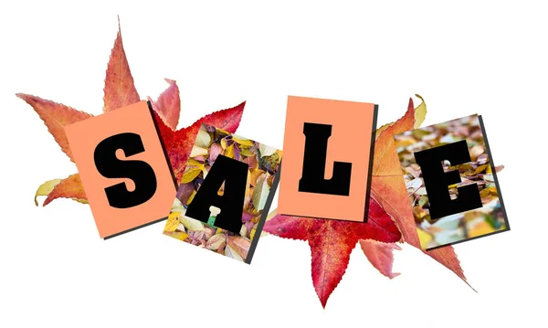 Autumn Sale Letters Yellow Leaves Banner — Stock Photo, Image
