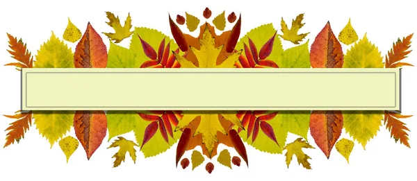 Advertising Banner Autumn Leaves — Stock Photo, Image