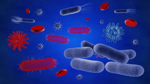 Different Types Micro Organisms Some Red Blood Cells Stock Photo