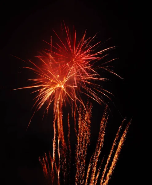 Orange-red fireworks looking like flowers, at national celebration